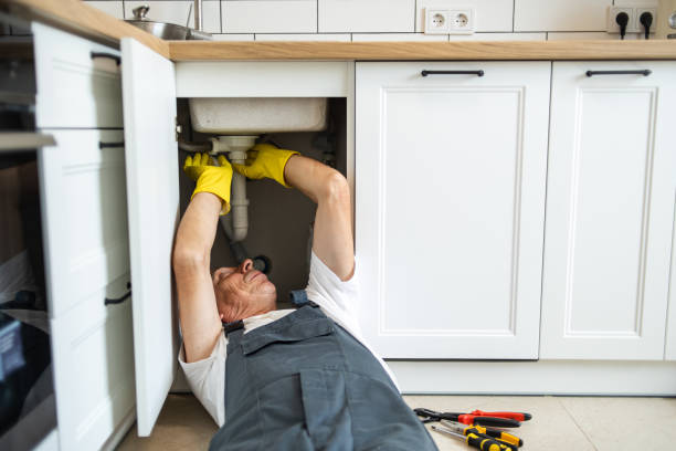 Best Local Plumber Services  in Carmel, IN