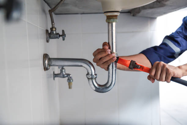 Best Plumbing Inspection Services  in Carmel, IN