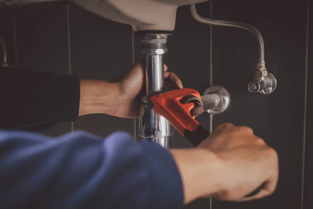 Best Plumbing Inspection Services  in Carmel, IN
